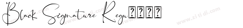 Black Signature Regu字体转换